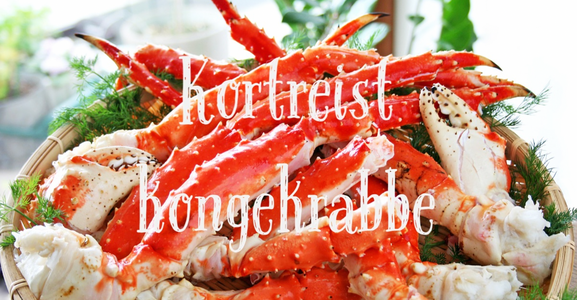 This image has an empty alt attribute; its file name is kortreist-kongekrabbe.webp